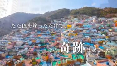 オンテックスPROMOTIONAL MOVIE 『色の奇跡』